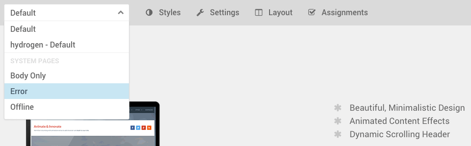 Error Page